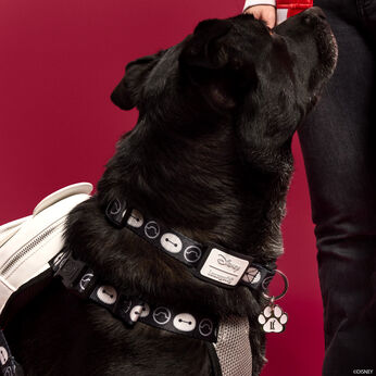 Big Hero 6 10th Anniversary Baymax Dog Collar, Image 2