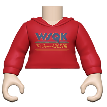 PY: Torso - FM SK1 -  ST5 WSQK Crew, Image 1
