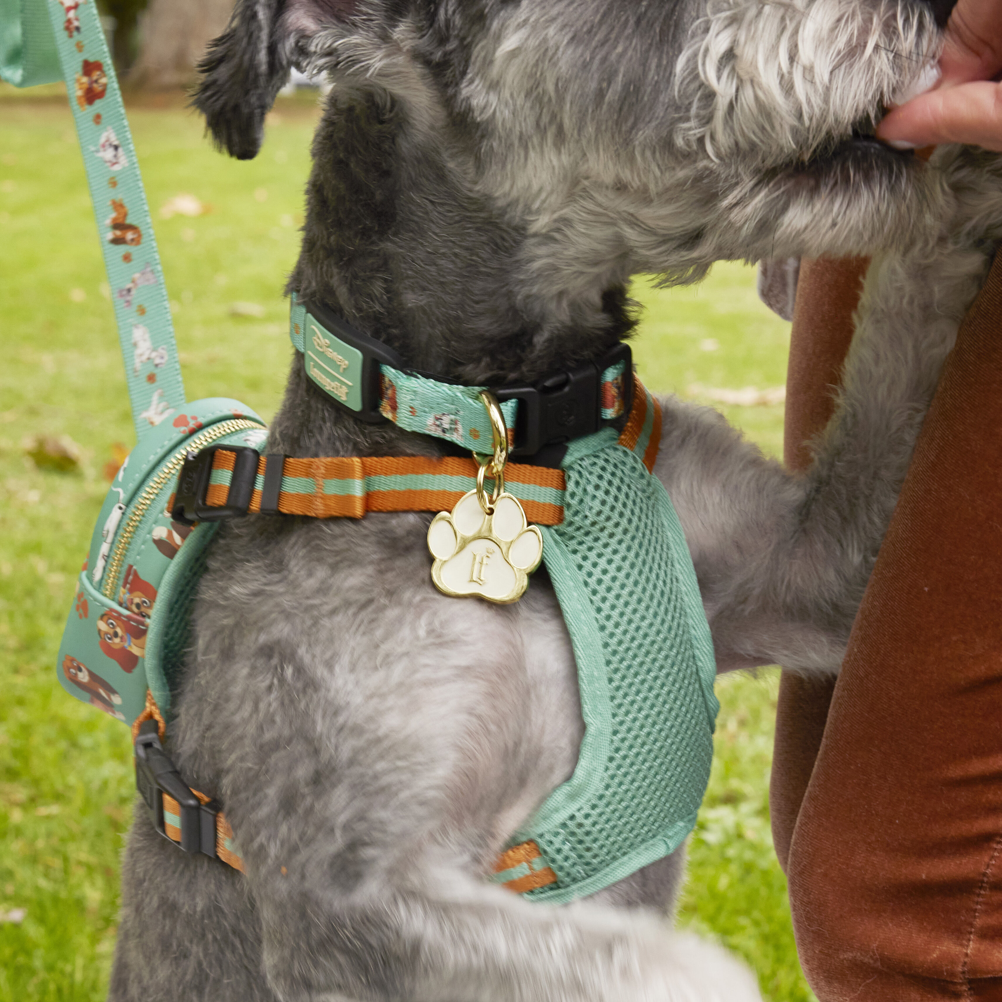 Disney dog leash discount