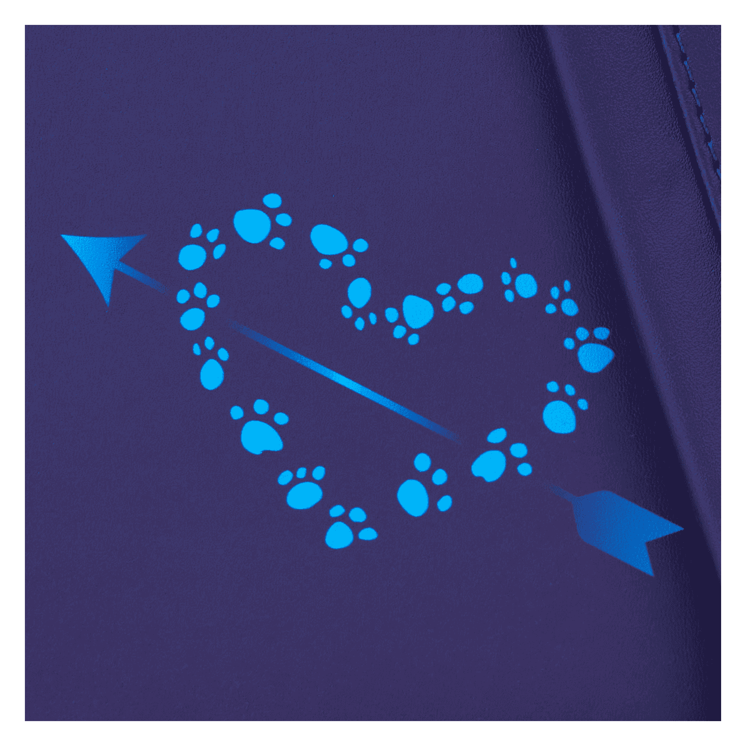 WDBK3875-LFDISNEYLADYANDTHETRAMPMINIBACKPACK-0002