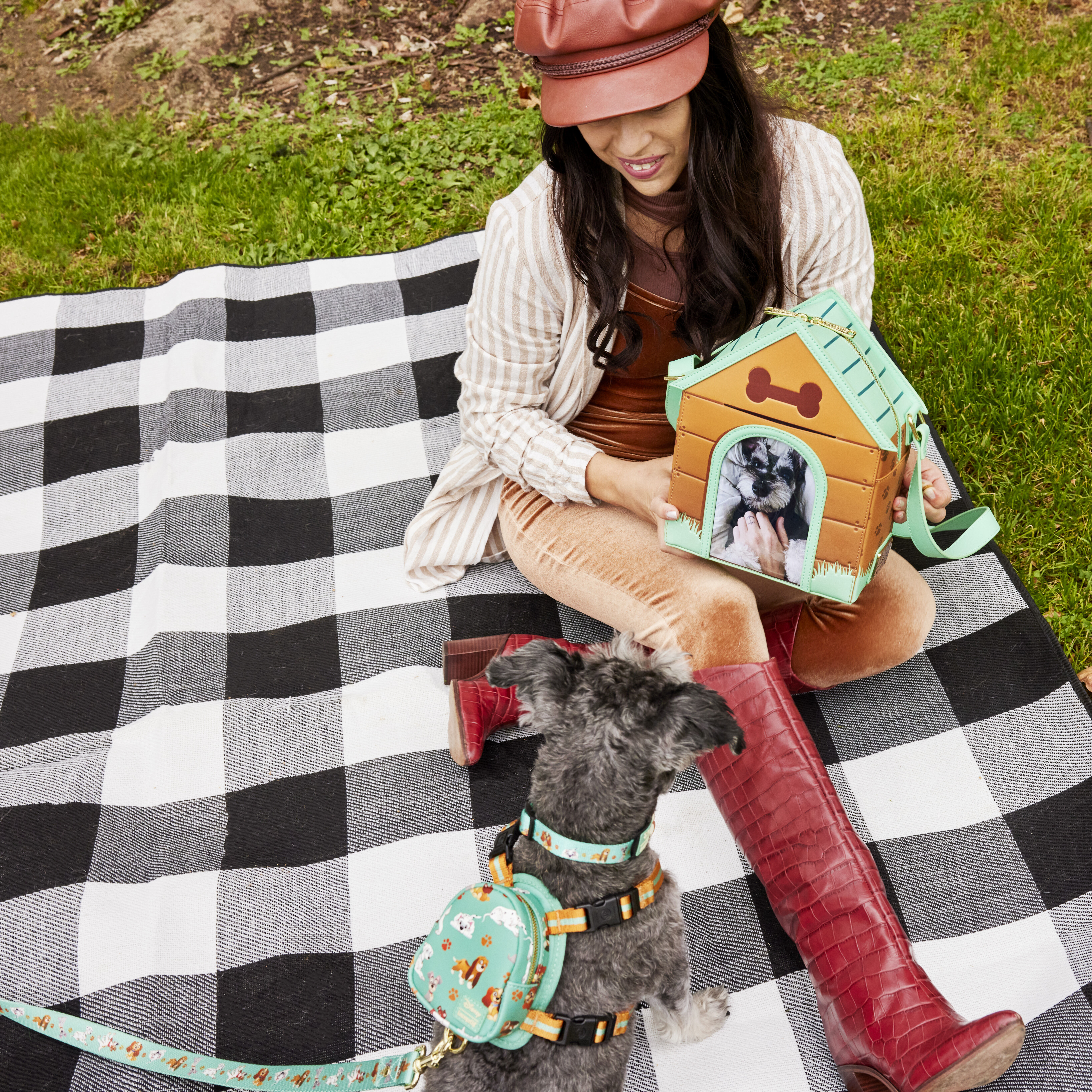 Disney deals dog blanket