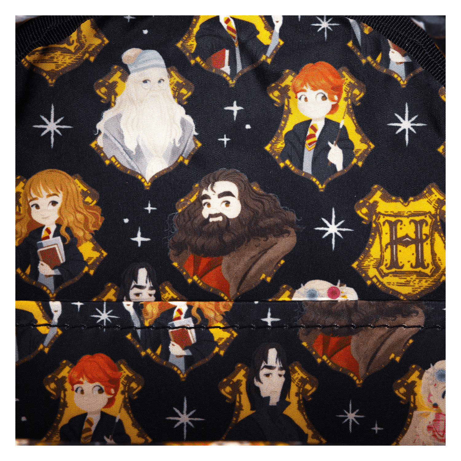 HPBK0276-LFHARRYPOTTERSPRINGMINIBACKPACK-1133