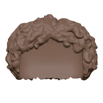 BAP- FM - Hair - BRN Short Curly, Image 1