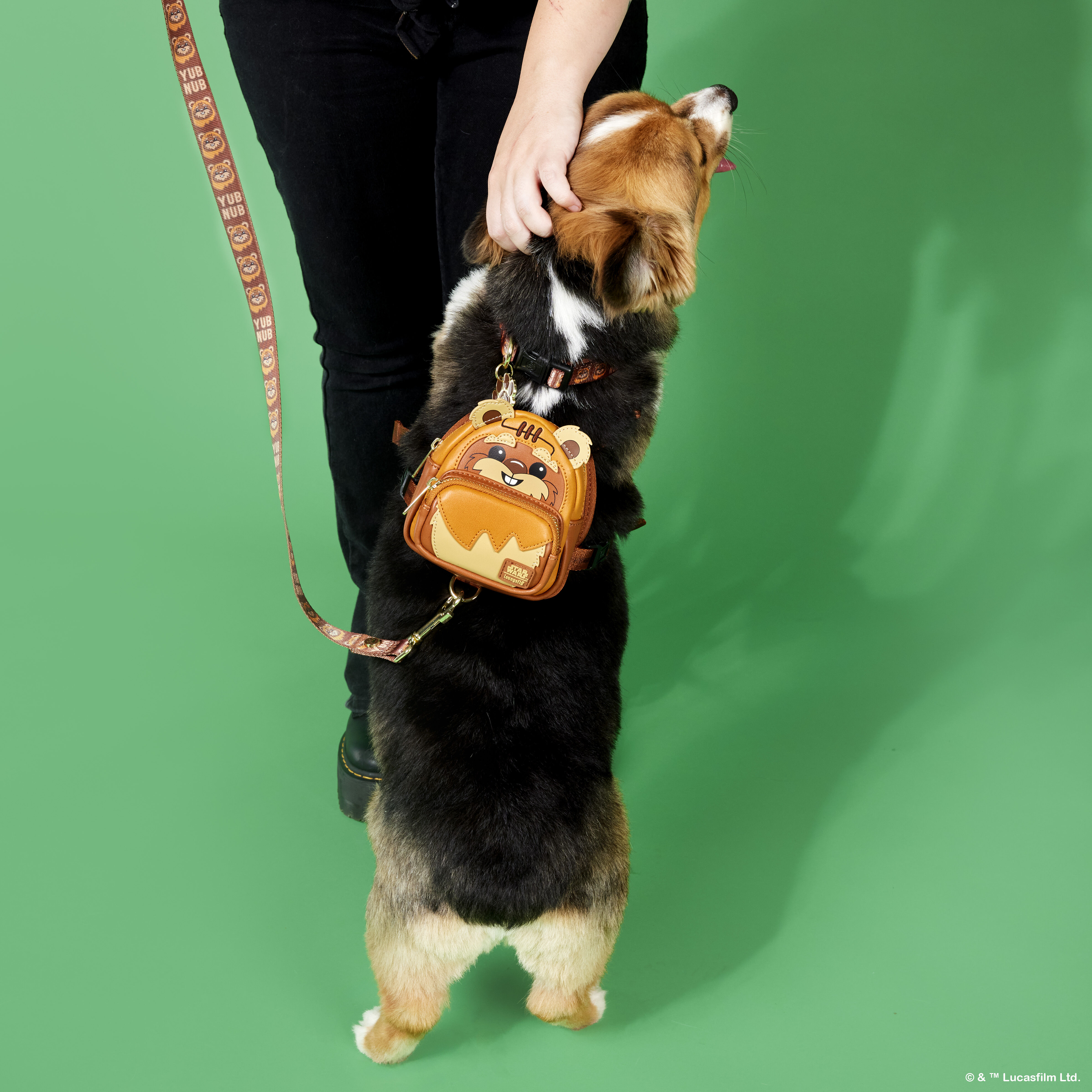 Star top wars leash