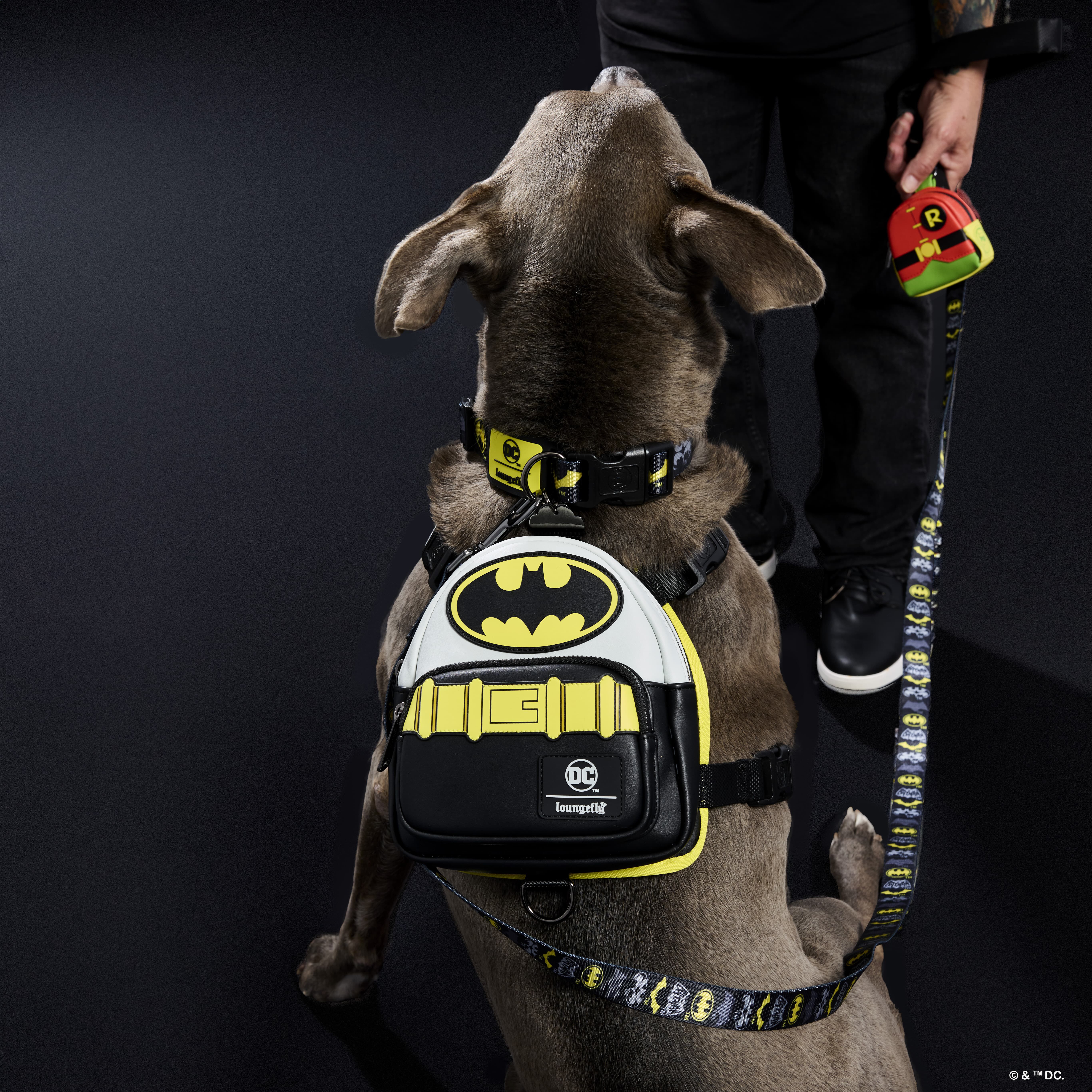 Batman cat harness shop