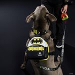 DC Comics Batman™ 85th Anniversary Mini Backpack Dog Harness, , hi-res view 2