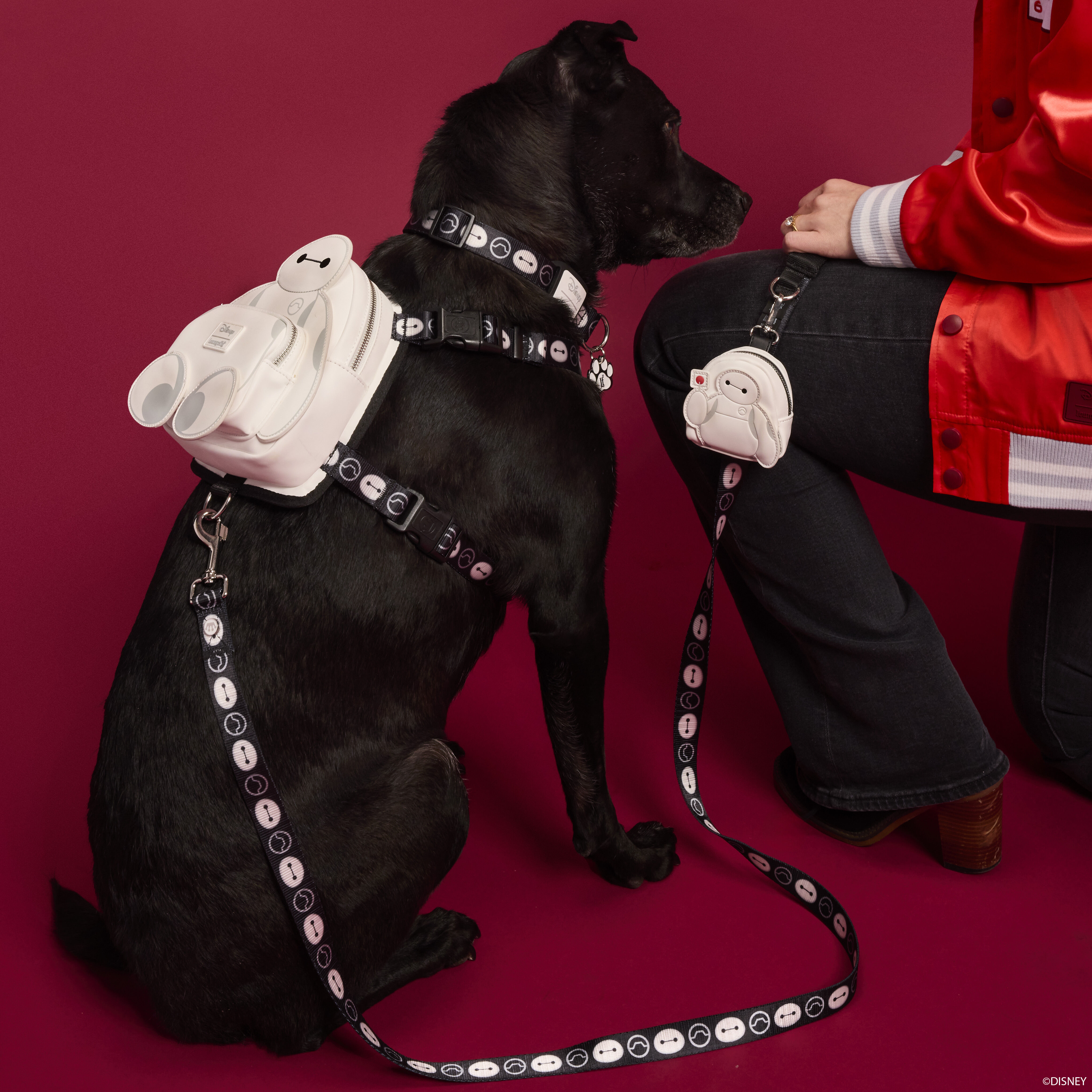 Chanel dog harness outlet