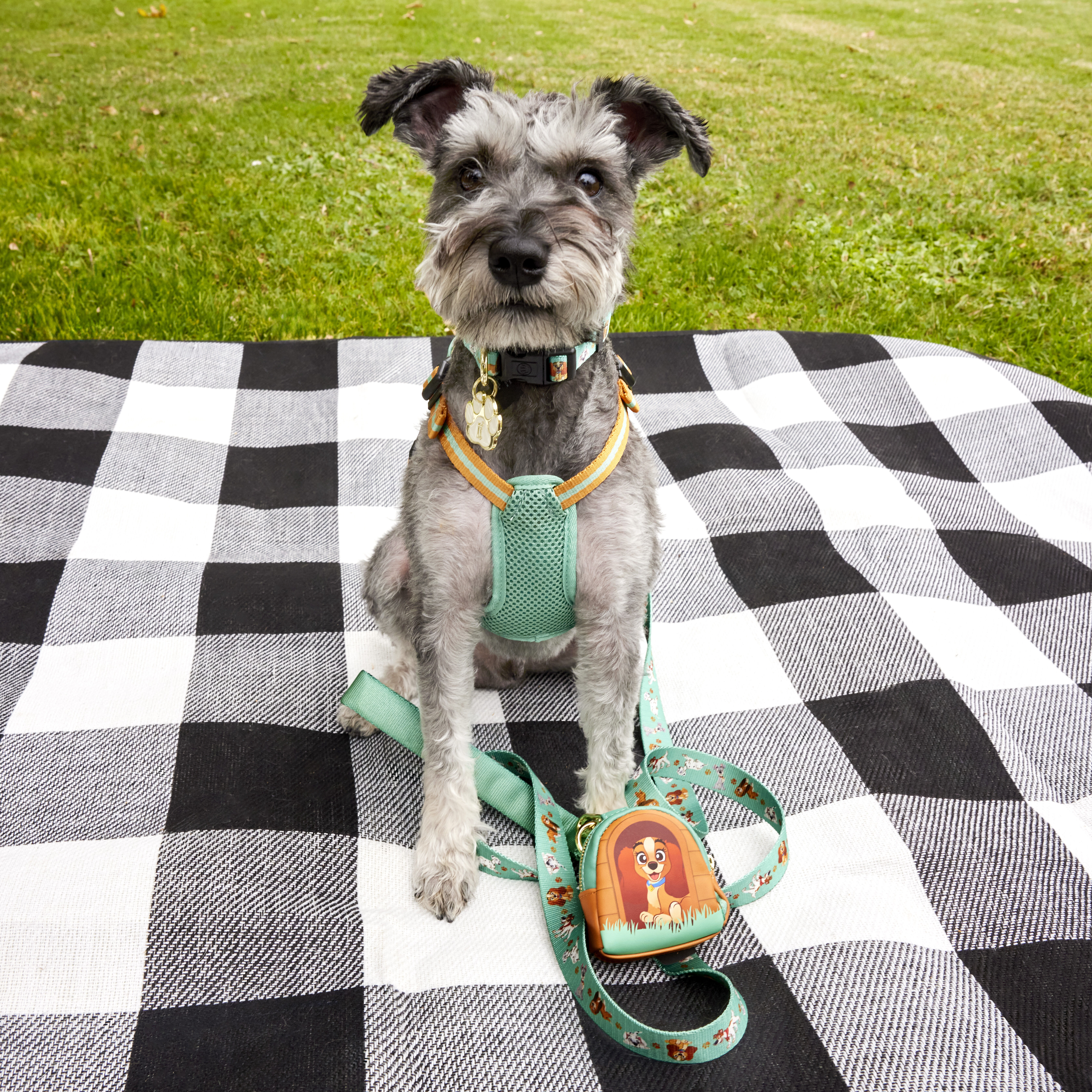 Dog loungefly best sale