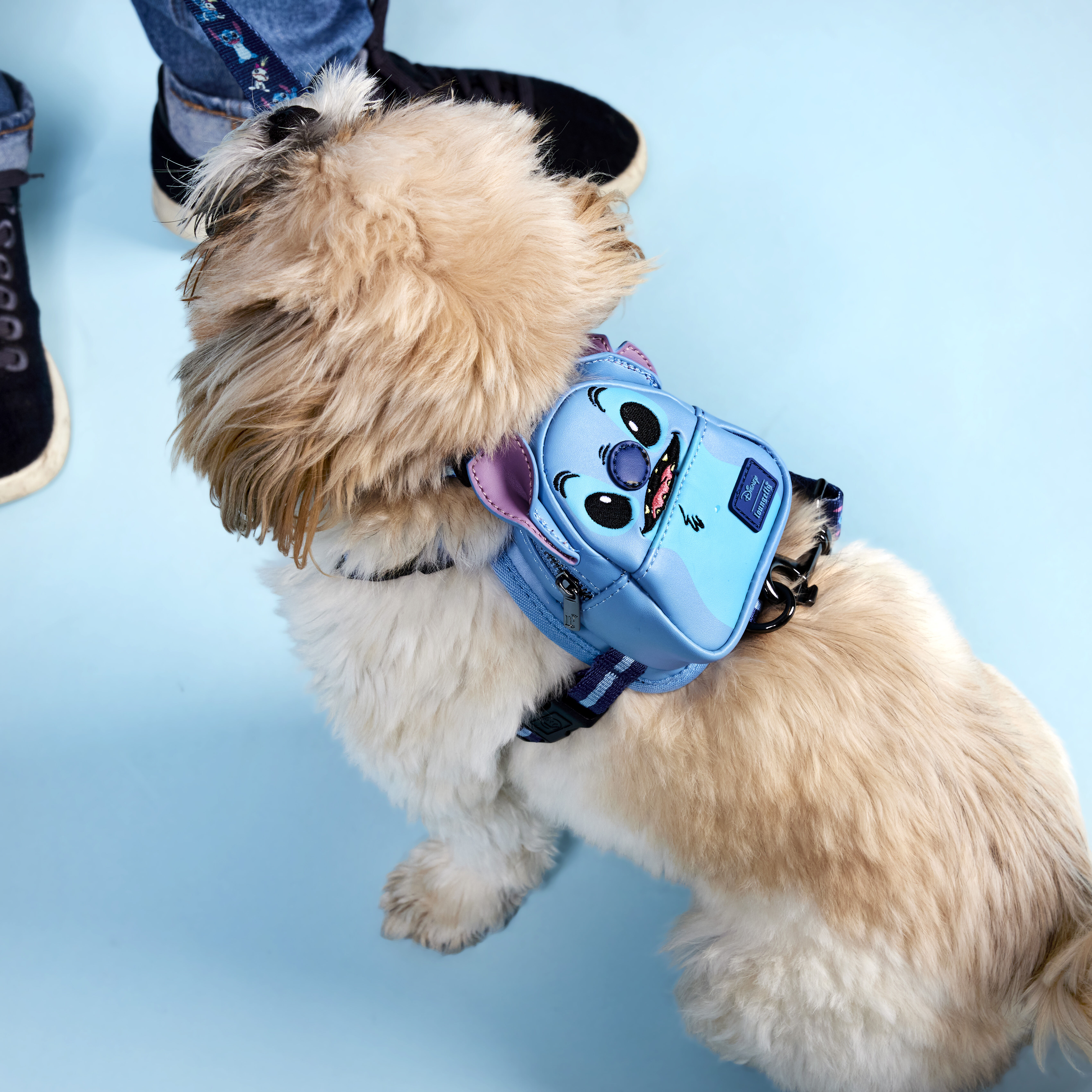 Mini backpack 2025 for dogs