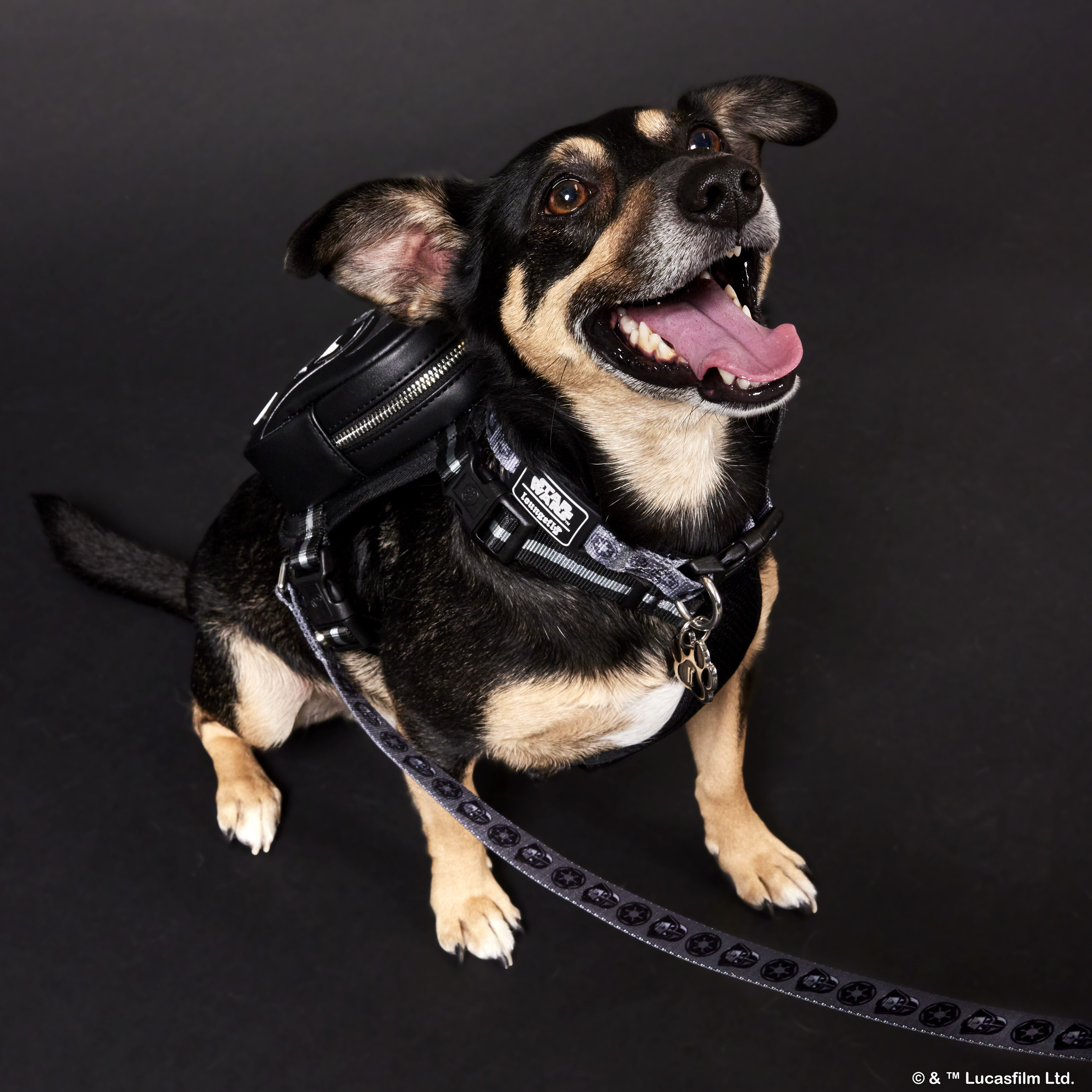 Star wars lightsaber dog 2025 leash