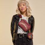 Harry Potter Hogwarts House Canvas Sling Crossbody Bag with Coin Bag LFlifestyle1 view 2