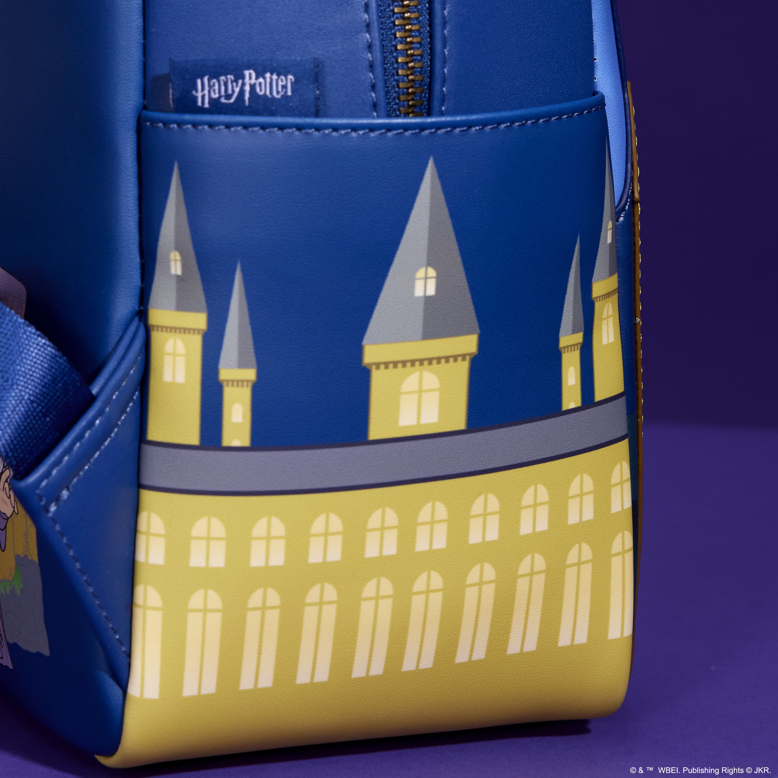 Buy Limited Edition Hogwarts School of Witchcraft and Wizardry Albus Dumbledore Pop Bag Bundle at Loungefly