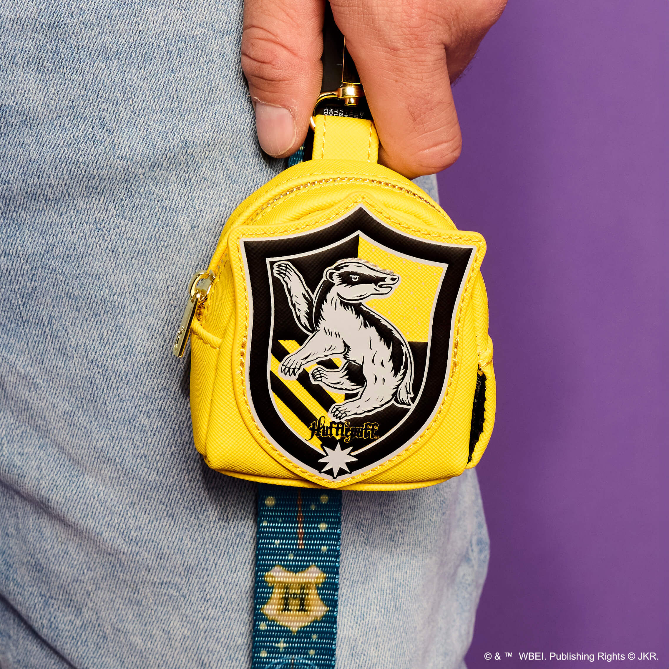 Harry Potter Hufflepuff House Treat Disposable Bag Holder