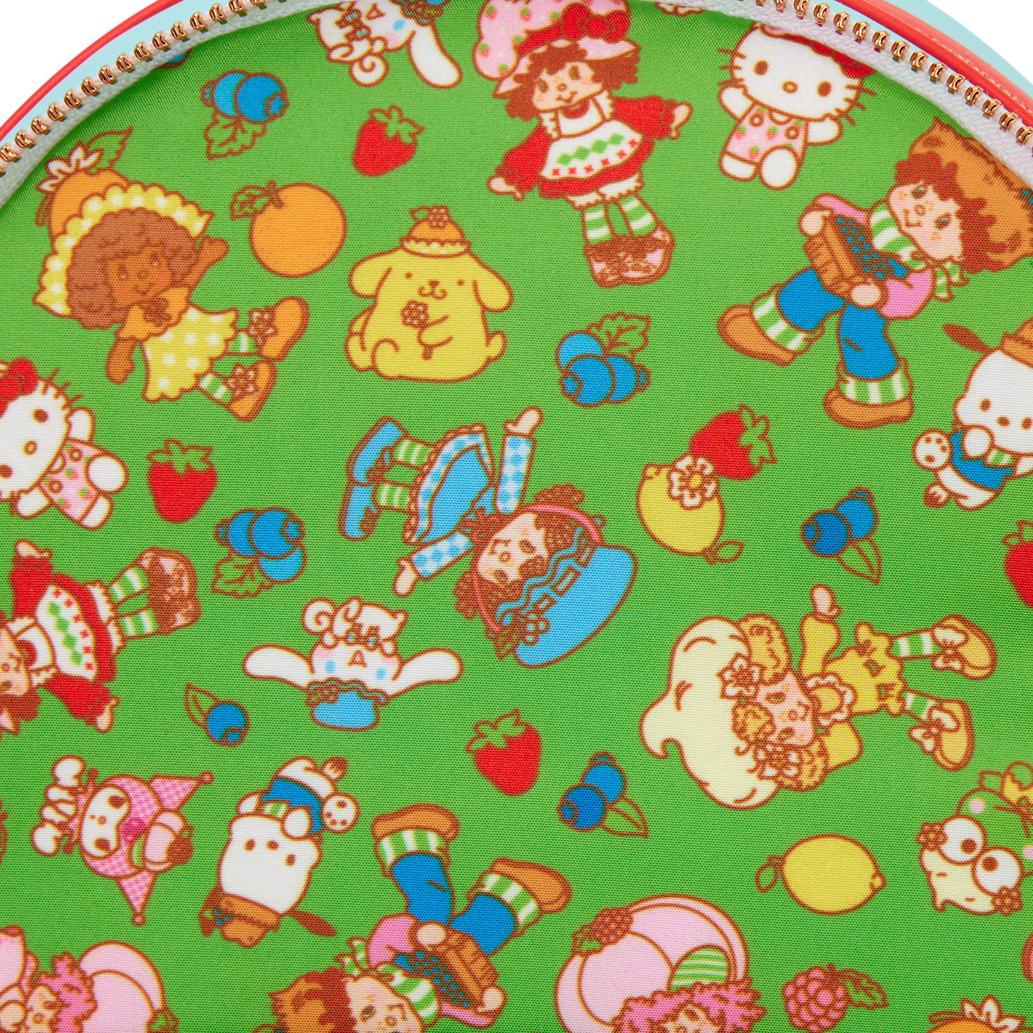 SBSBK0013-LFSANRIOANDSTRAWBERRYSHORTCAKEMINIBK_49