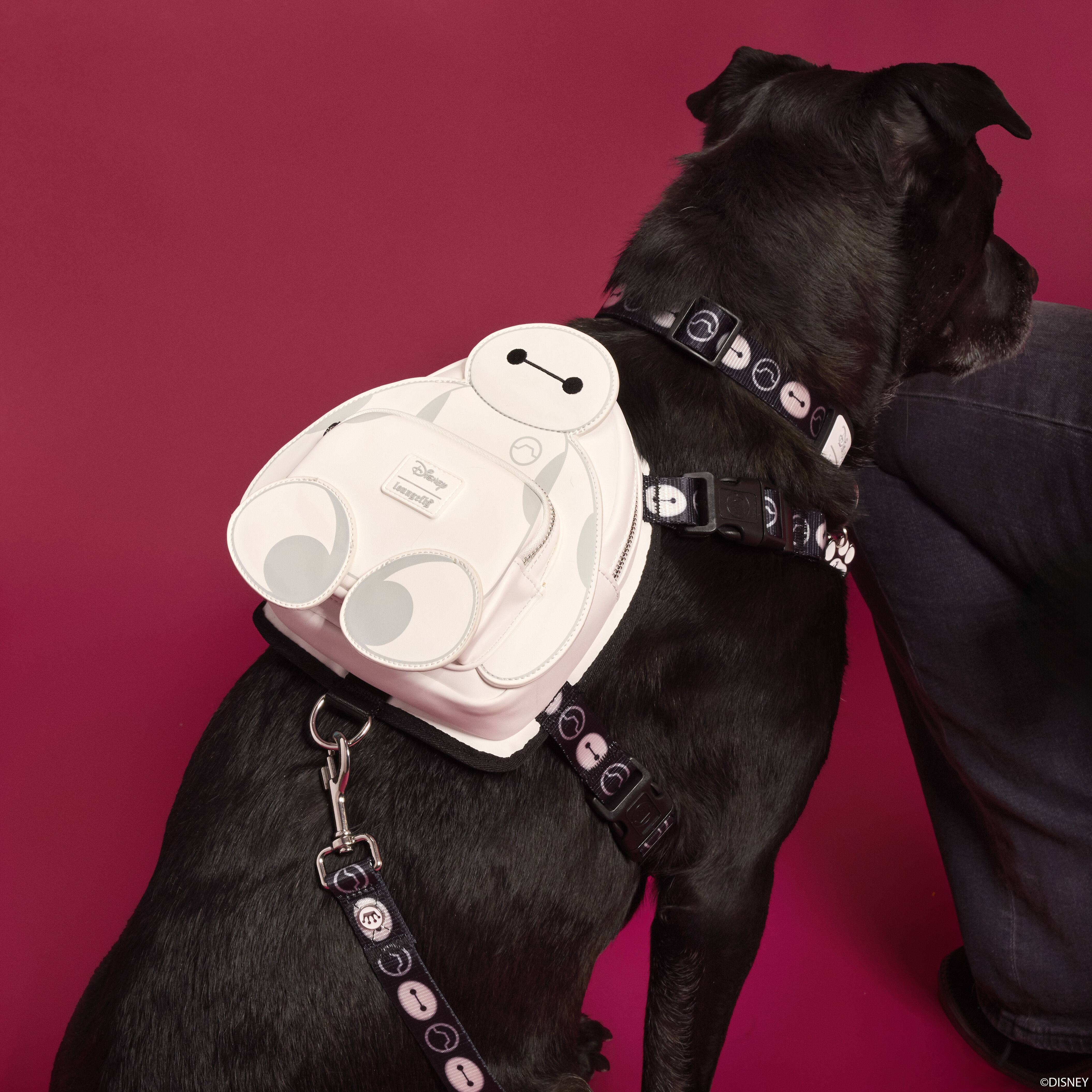 Big Hero 6 10th Anniversary Baymax Cosplay Dog Harness
