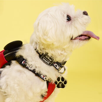 Mickey Mouse Dog Collar, Image 2
