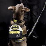 DC Comics Batman™ 85th Anniversary Leash, , hi-res view 2