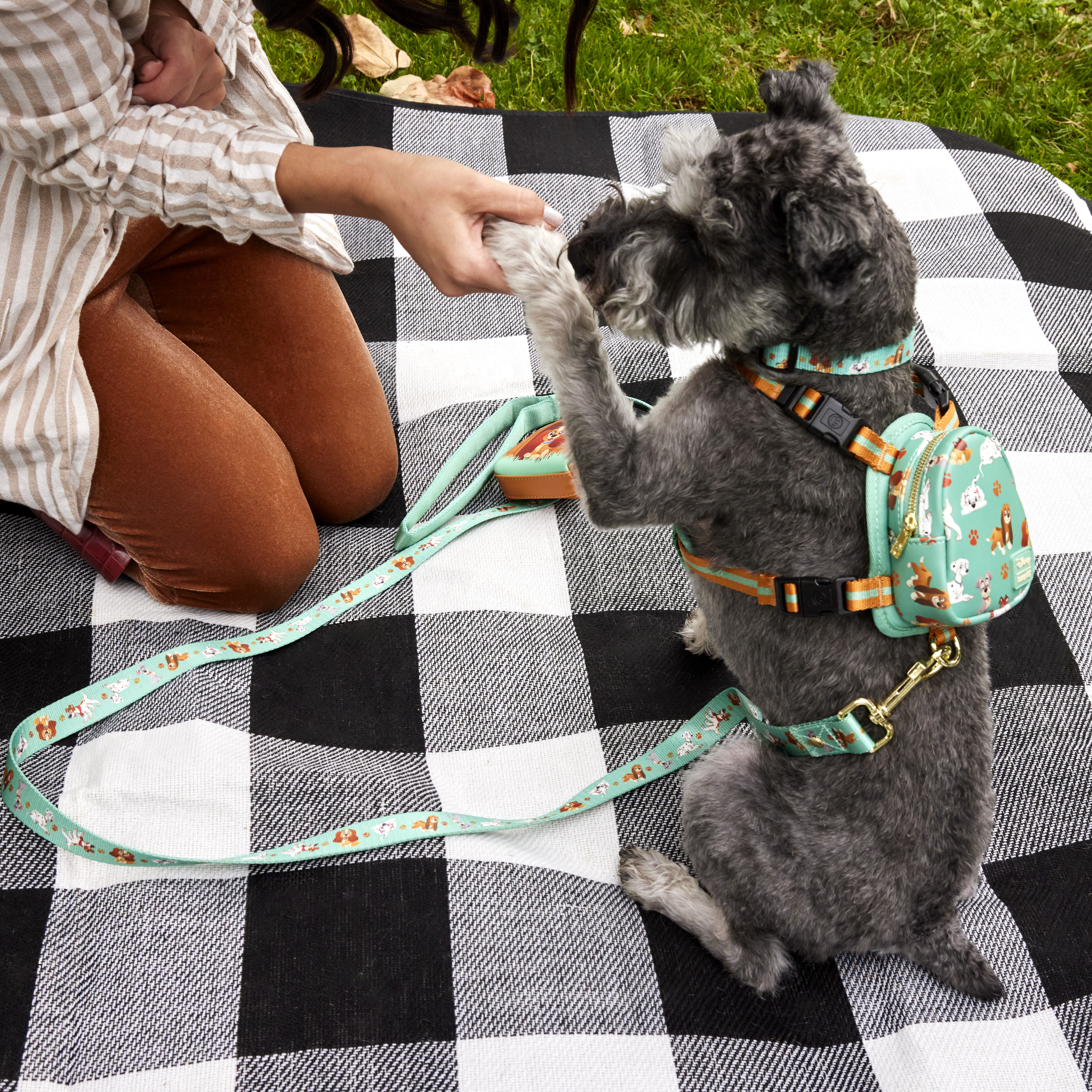 Invisible dog leash disney clearance