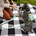 I Heart Disney Dogs All-Over Print Dog Leash, , hi-res view 2