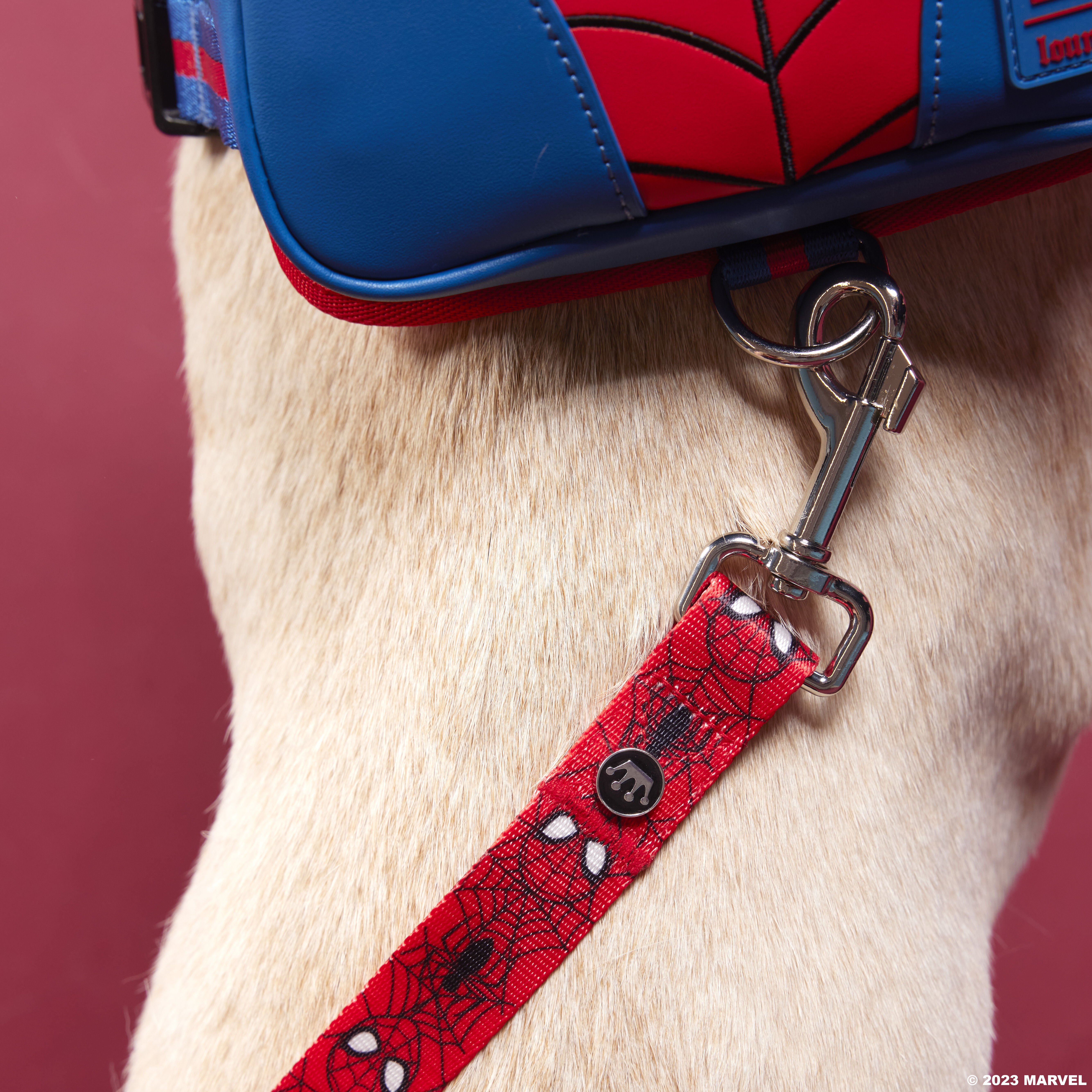 Buy Spider Man Dog Leash at Loungefly