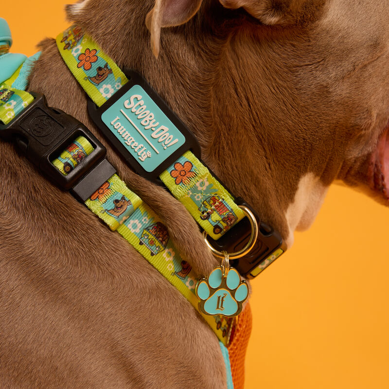 Close up image of a brown and white dog wearing the Scooby-Doo Mystery Machine Dog Collar