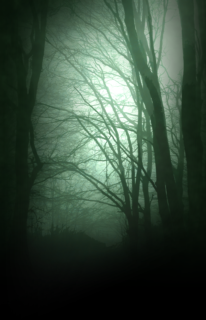 Creepy woods background with ominous Teal glow
