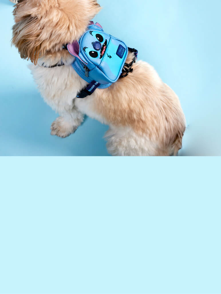 Pin on Designer Dog Harnesses