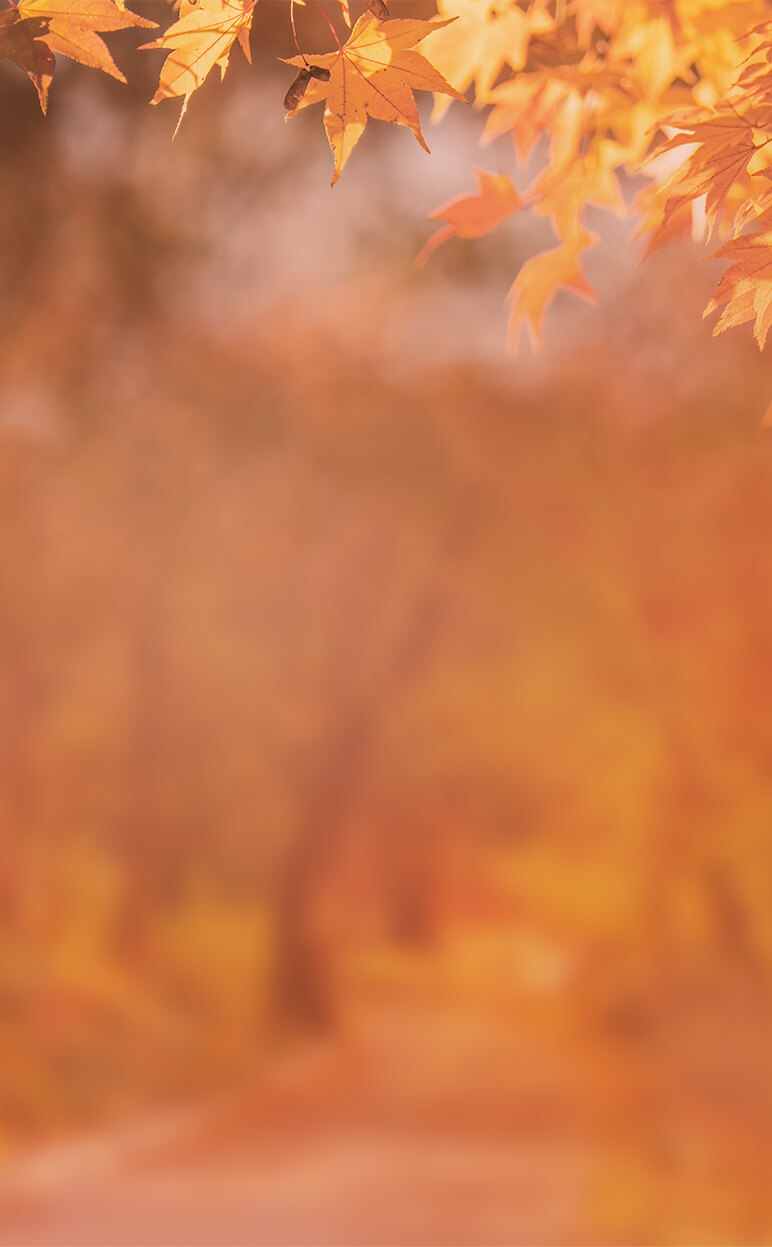 Fall background with leaves