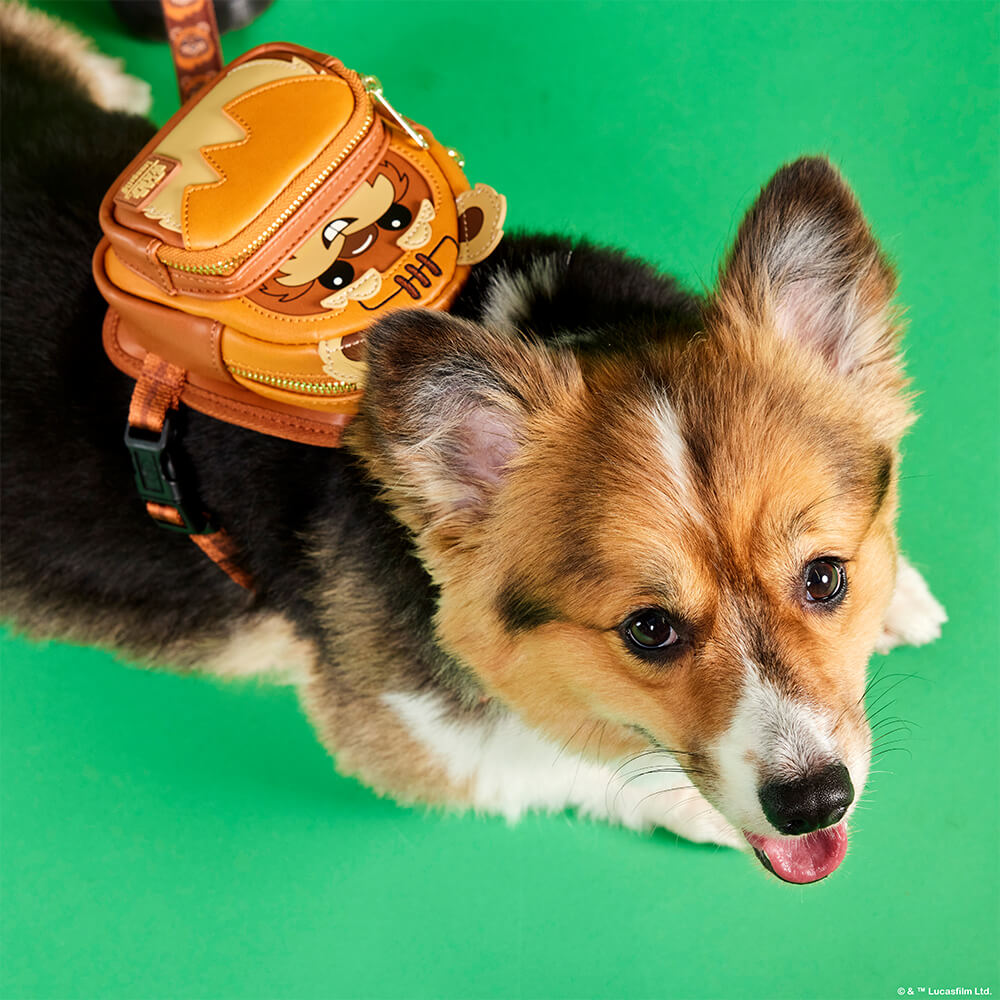 Green background with Brown and Black dog wearing Loungefly Star Wars Ewok pet accessories