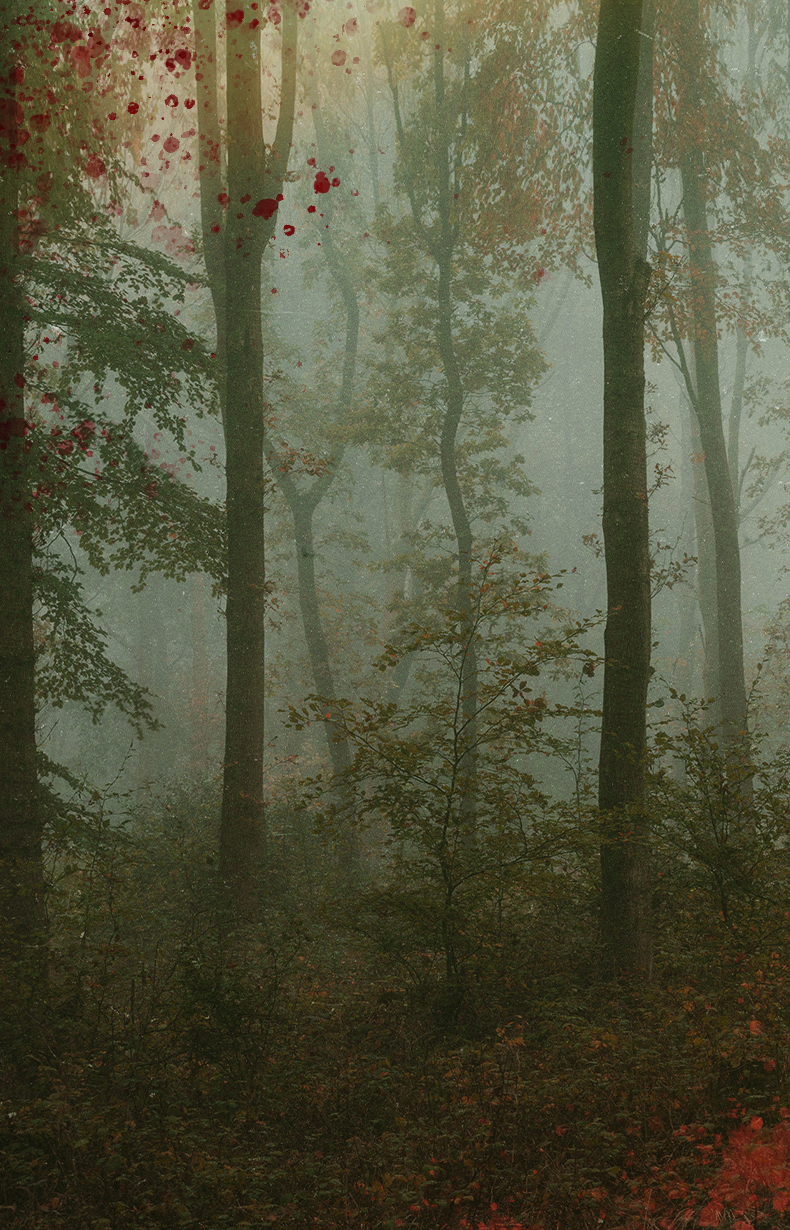 Eerie woods background with subtle Green and Yellow hues