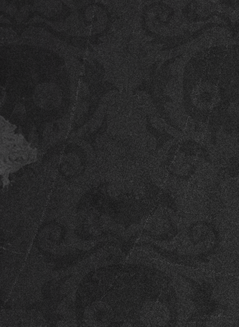 Dark Gray/Black background with Funkoween pattern