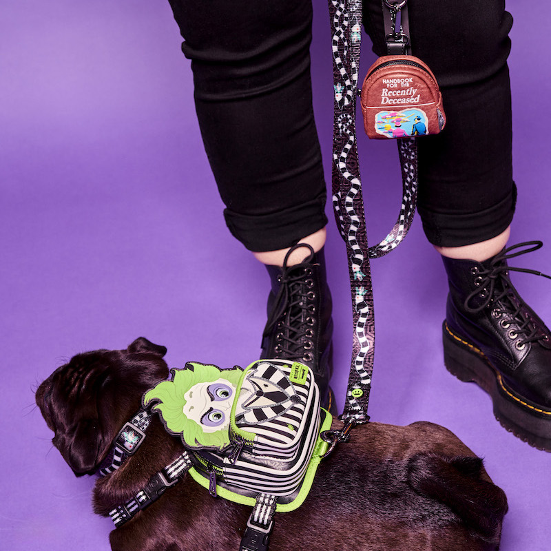 Black pug wearing the Beetlejuice dog harness sitting on a purple background at the feet of a person holding the Beetlejuice leash with the Beetlejuice Treat & Disposable Bag Holder attached to the leash.