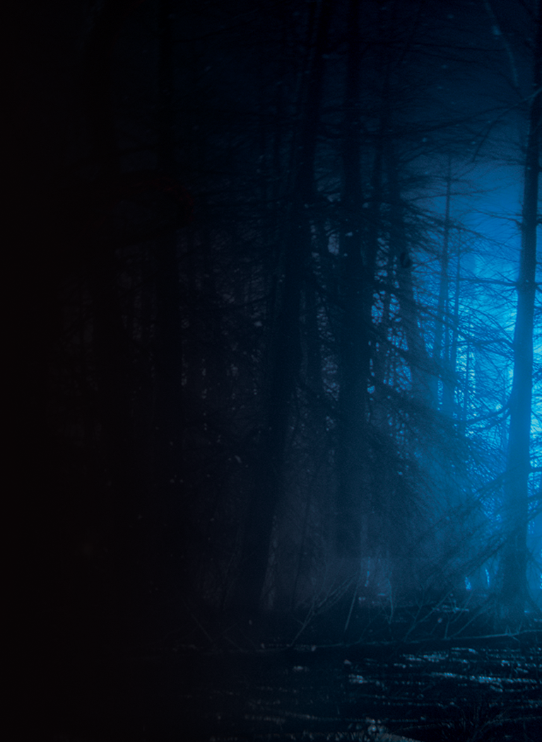 Black background with forest silhouette and ominous Blue hue
