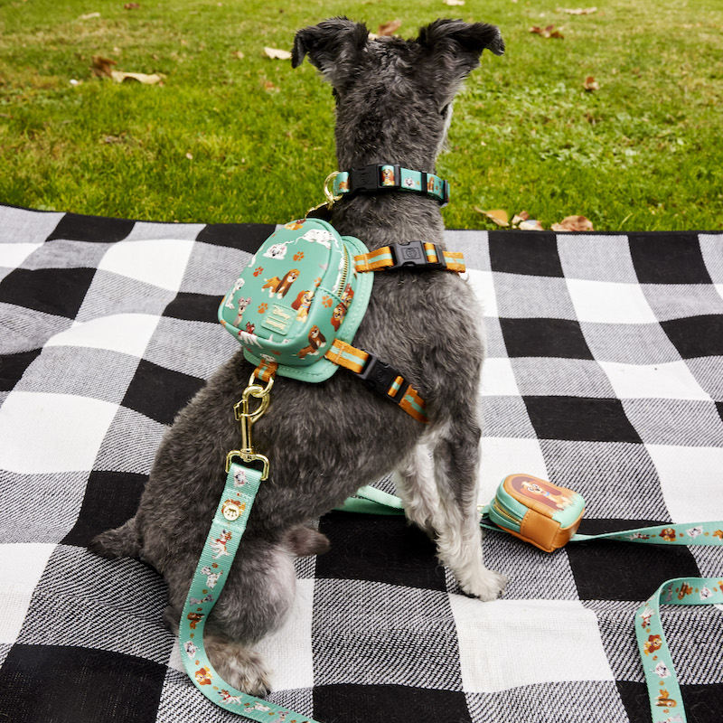 Image of a small dog sitting on a picnic blanket outside wearing the I Heart Disney Dogs Mini Backpack Dog Harness with leash and treat bag attached