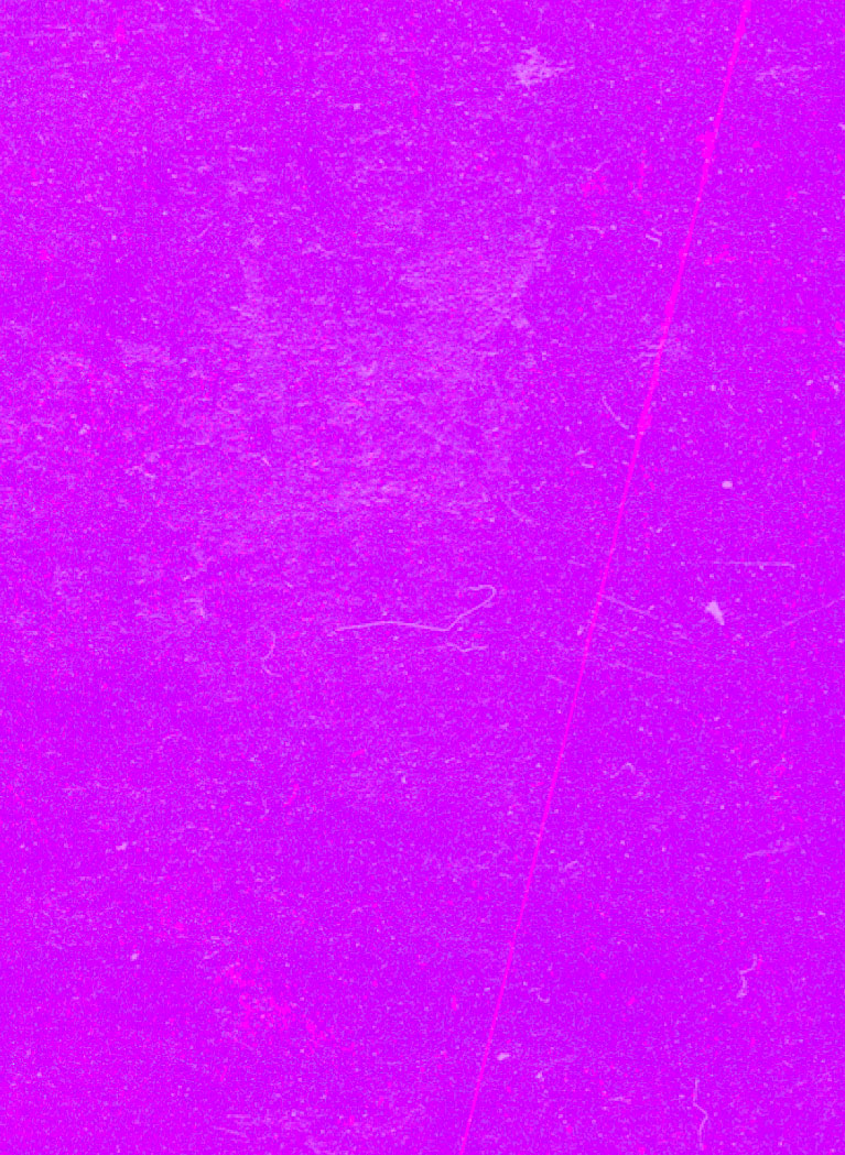 Neon Purple background with grunge texture