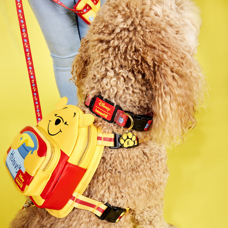 Image of a curly-furred dog wearing the Winnie the Pooh mini backpack and collar 