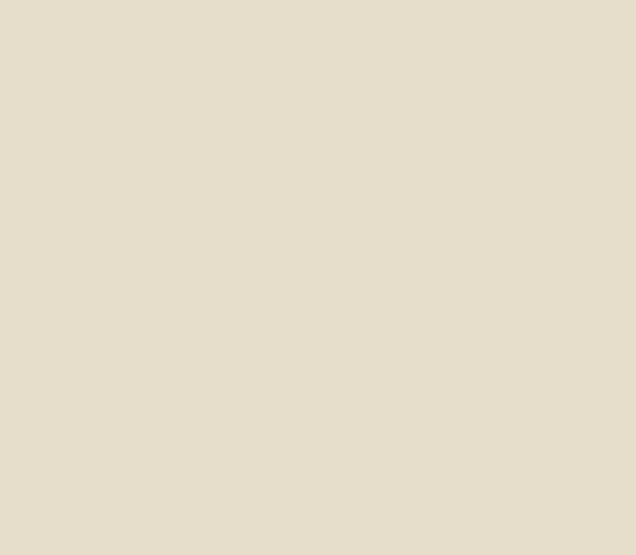 Solid Khaki/Tan colored background