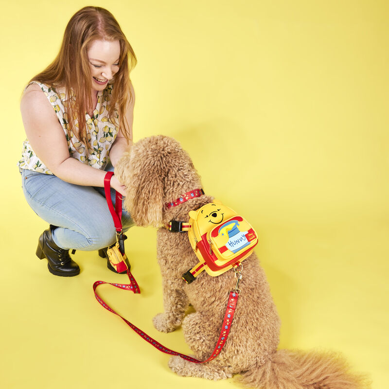 Image of woman with dog wearing the Winnie the Pooh Mini Backpack Harness and leash against a yellow background