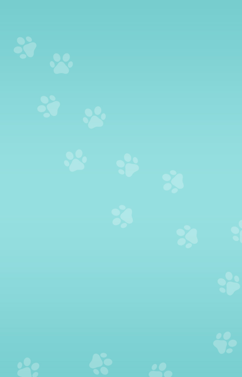 Teal gradient background with White paw prints