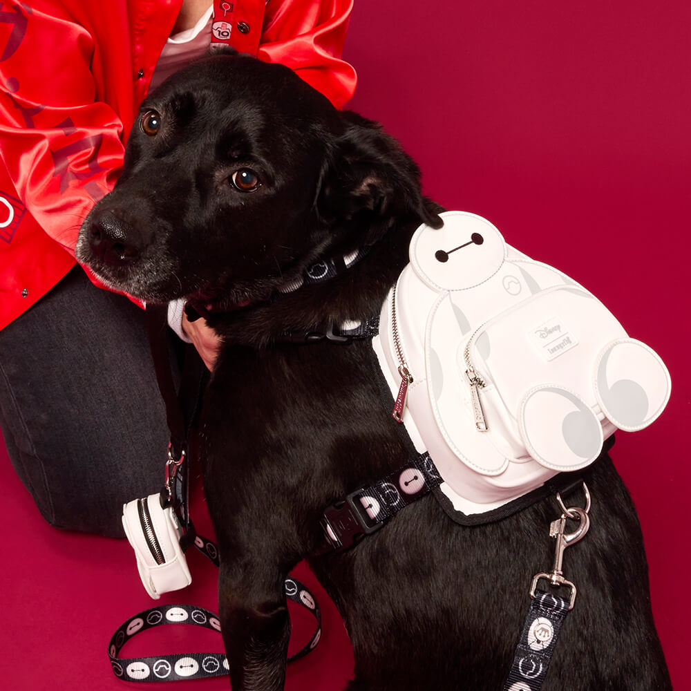 Red background with black dog wearing Loungefly Disney Big Hero 6 Pet Accessories collection